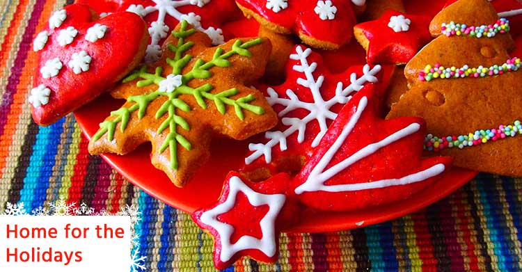 home for the holidays featured image