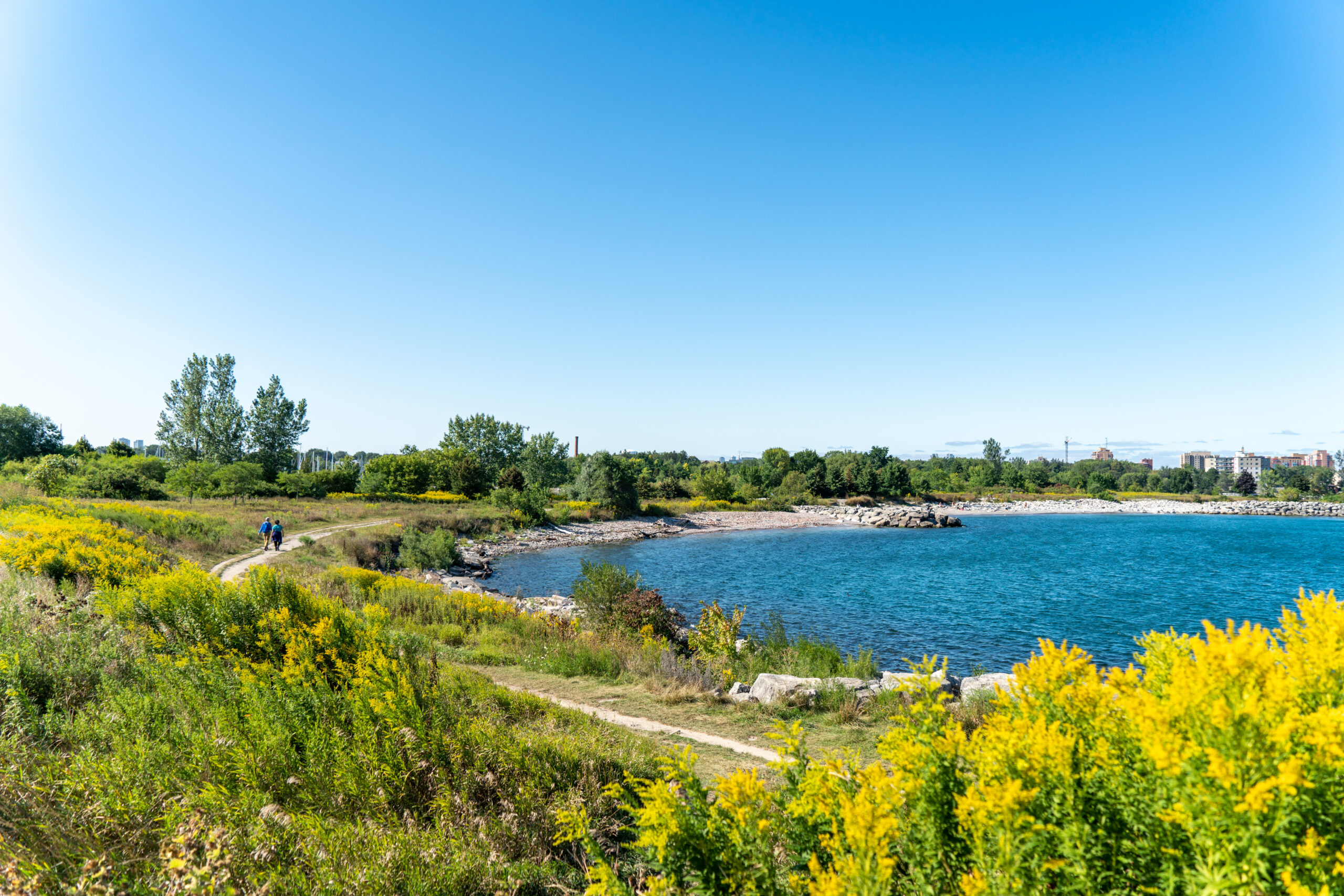 Lambton Towns Blog